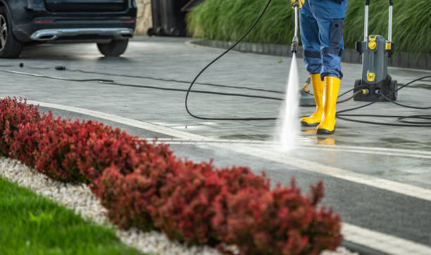 Best Roof Pressure Washing  in Crescent City, CA